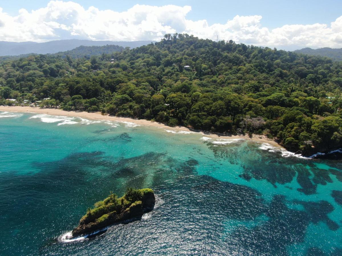 Cariblue Beach And Jungle Resort Puerto Viejo de Talamanca Exterior foto