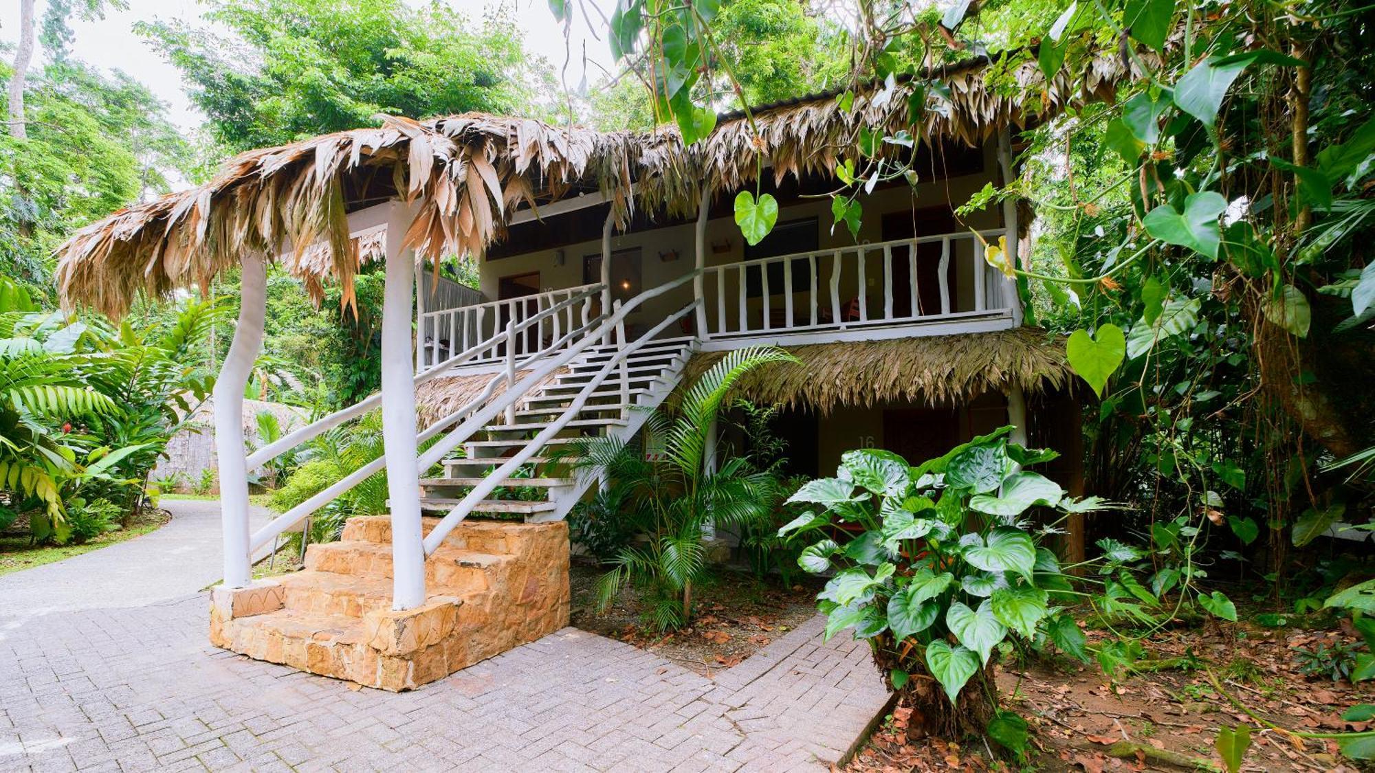 Cariblue Beach And Jungle Resort Puerto Viejo de Talamanca Quarto foto