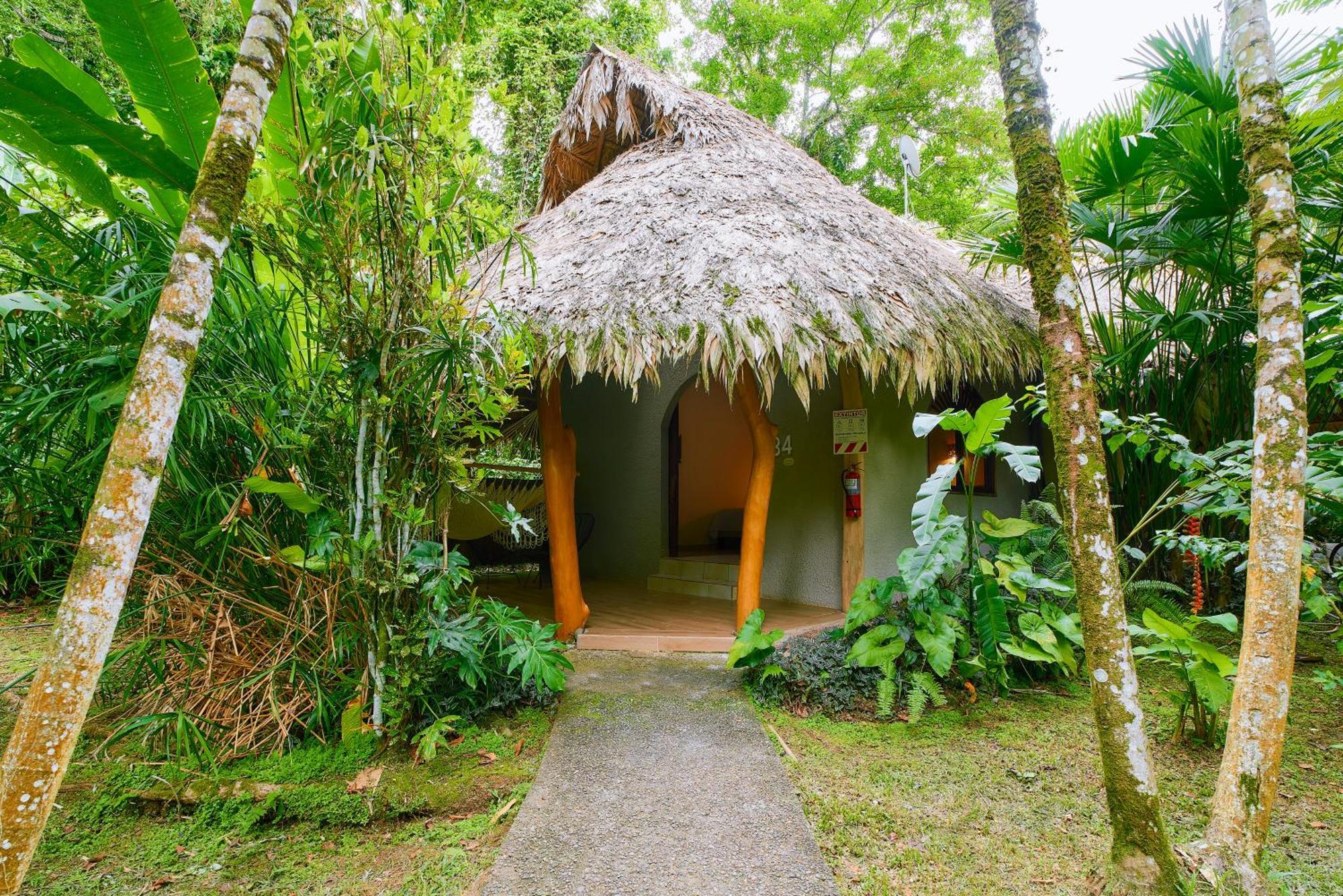 Cariblue Beach And Jungle Resort Puerto Viejo de Talamanca Quarto foto