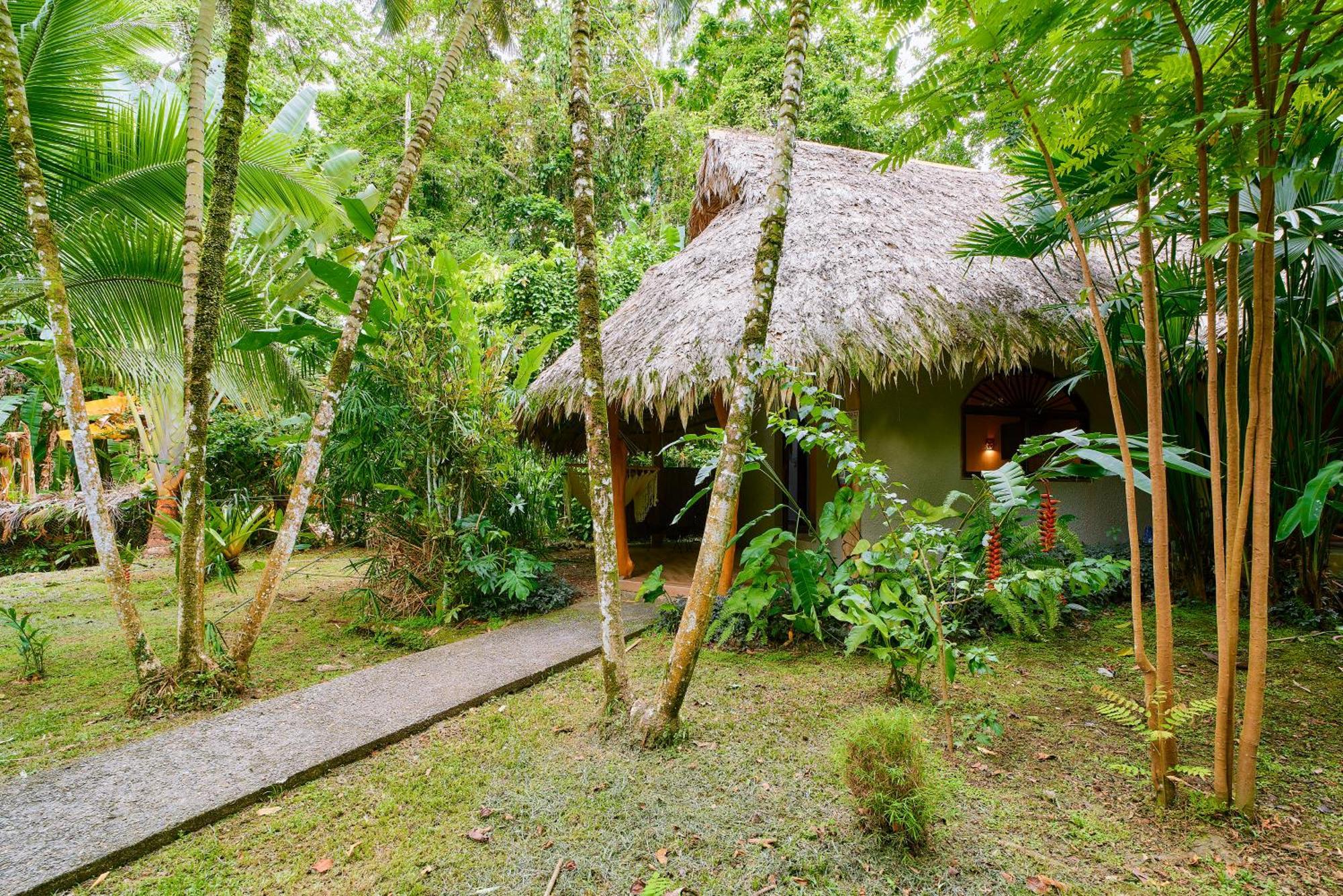 Cariblue Beach And Jungle Resort Puerto Viejo de Talamanca Quarto foto