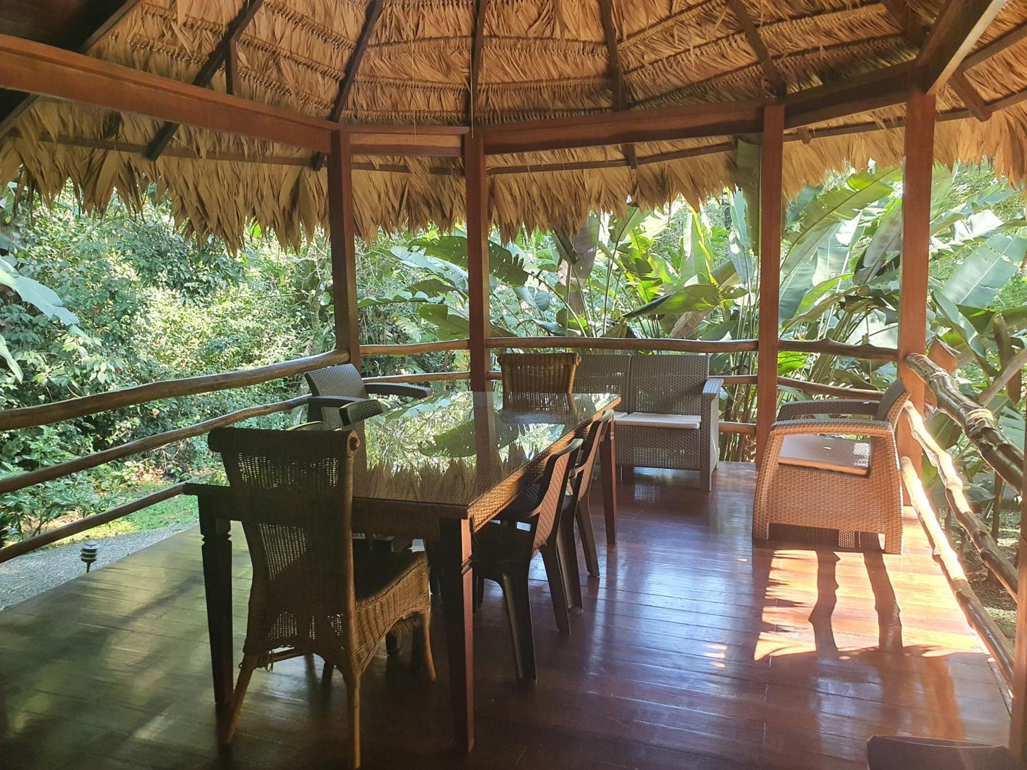 Cariblue Beach And Jungle Resort Puerto Viejo de Talamanca Quarto foto